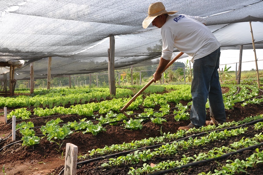 Sedu inicia em janeiro a Chamada Pública para aquisição de produtos da agricultura familiar