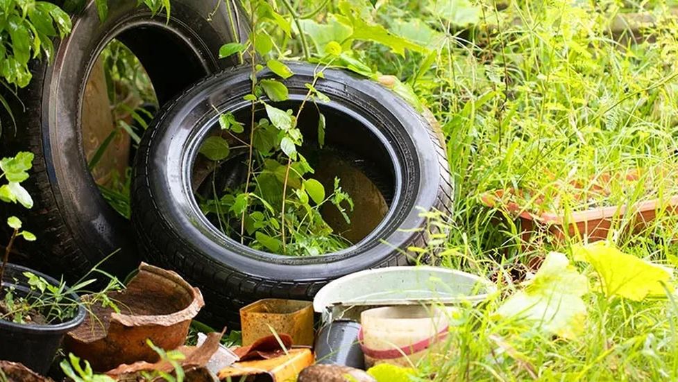 PREFEITURA PROMOVE MUTIRÃO CONTRA A DENGUE NA QUARTA-FEIRA (29)