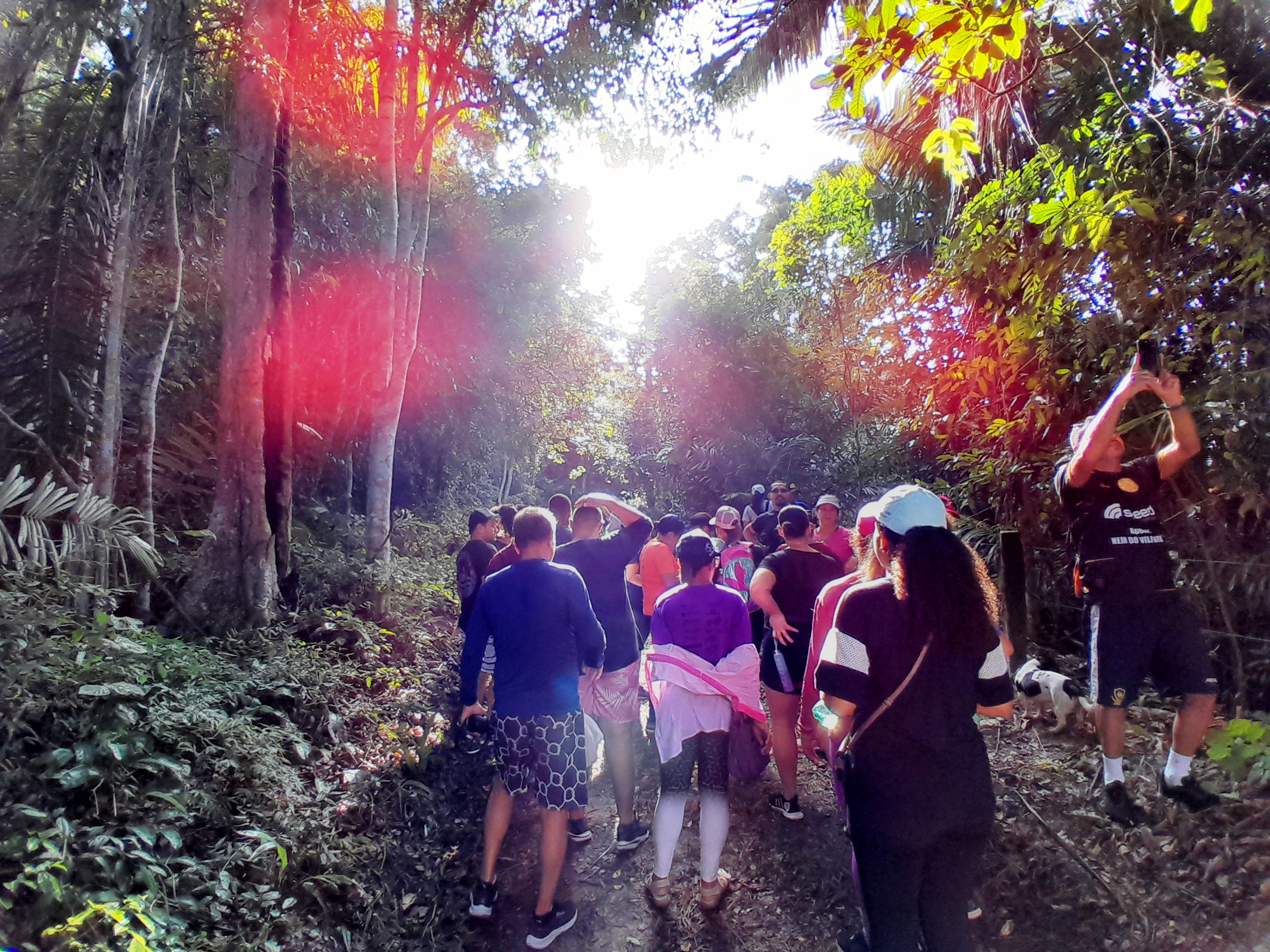 RECORDE: CERCA DE 200 PESSOAS PARTICIPAM DA 3ª CAMINHADA ECOLÓGICA NA RESERVA BIOLÓGICA CÓRREGO DO VEADO