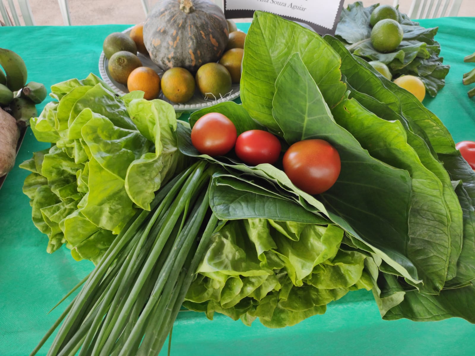 SECRETARIA REALIZA FEIRA DE AMOSTRA DOS PRODUTORES RURAIS E DISTRIBUI 3 TONELADAS DE CESTAS DE ALIMENTOS DO CDA