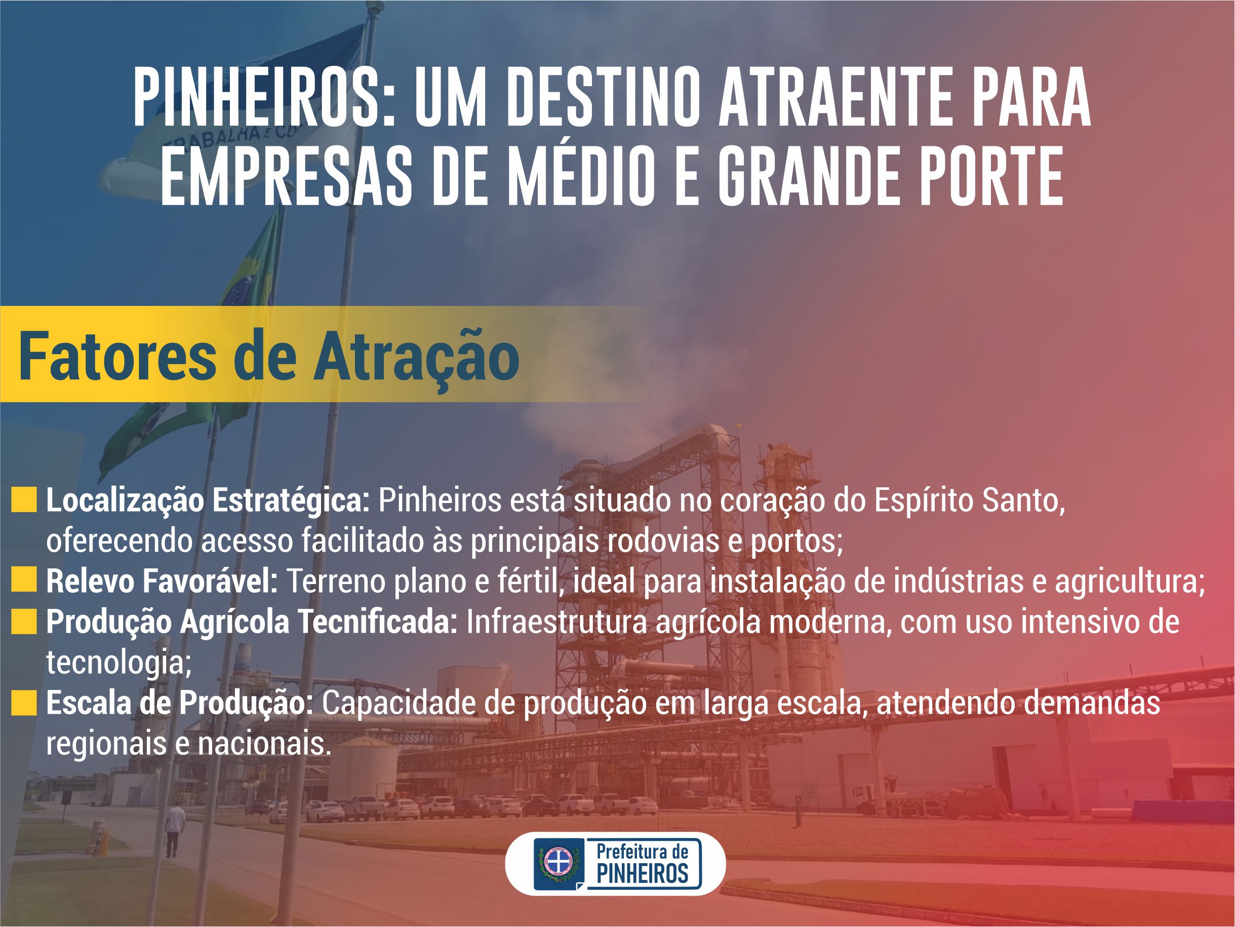 PINHEIROS: UM DESTINO ATRAENTE PARA EMPRESAS DE MÉDIO E GRANDE PORTE