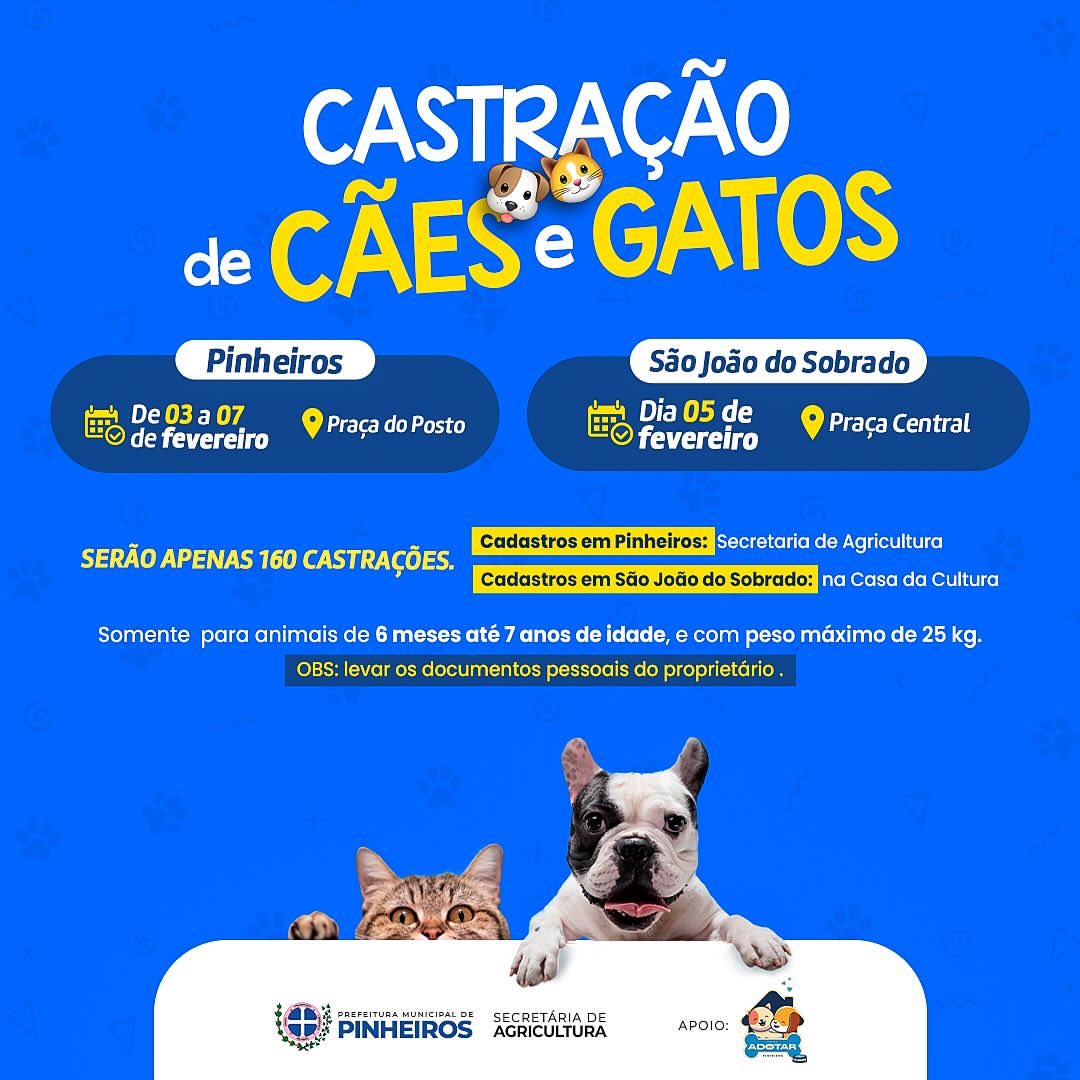 Prefeitura de Pinheiros promove campanha de castração gratuita para cães e gatos