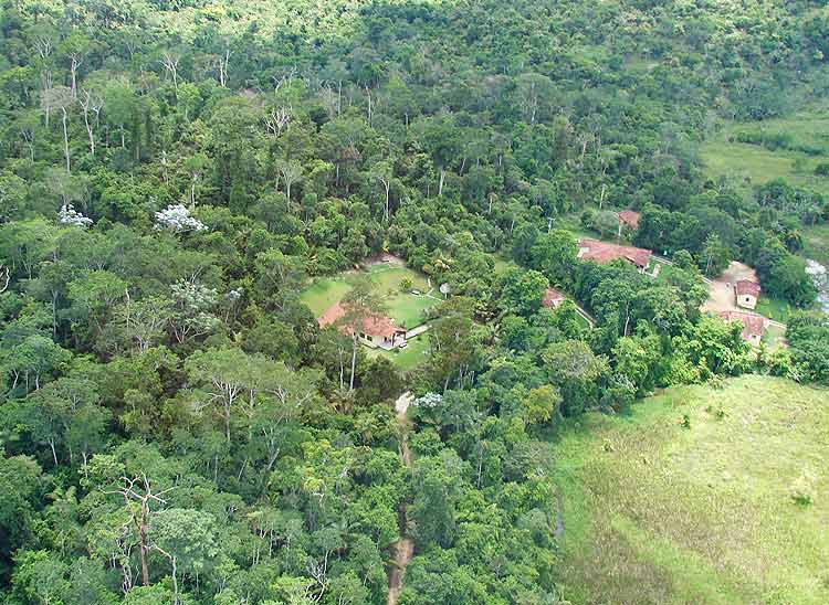COMEMORAÇÃO DE 81 ANOS: RESERVA BIOLÓGICA CÓRREGO DO VEADO ABRE AS PORTAS PARA VISITAÇÃO E ATIVIDADES