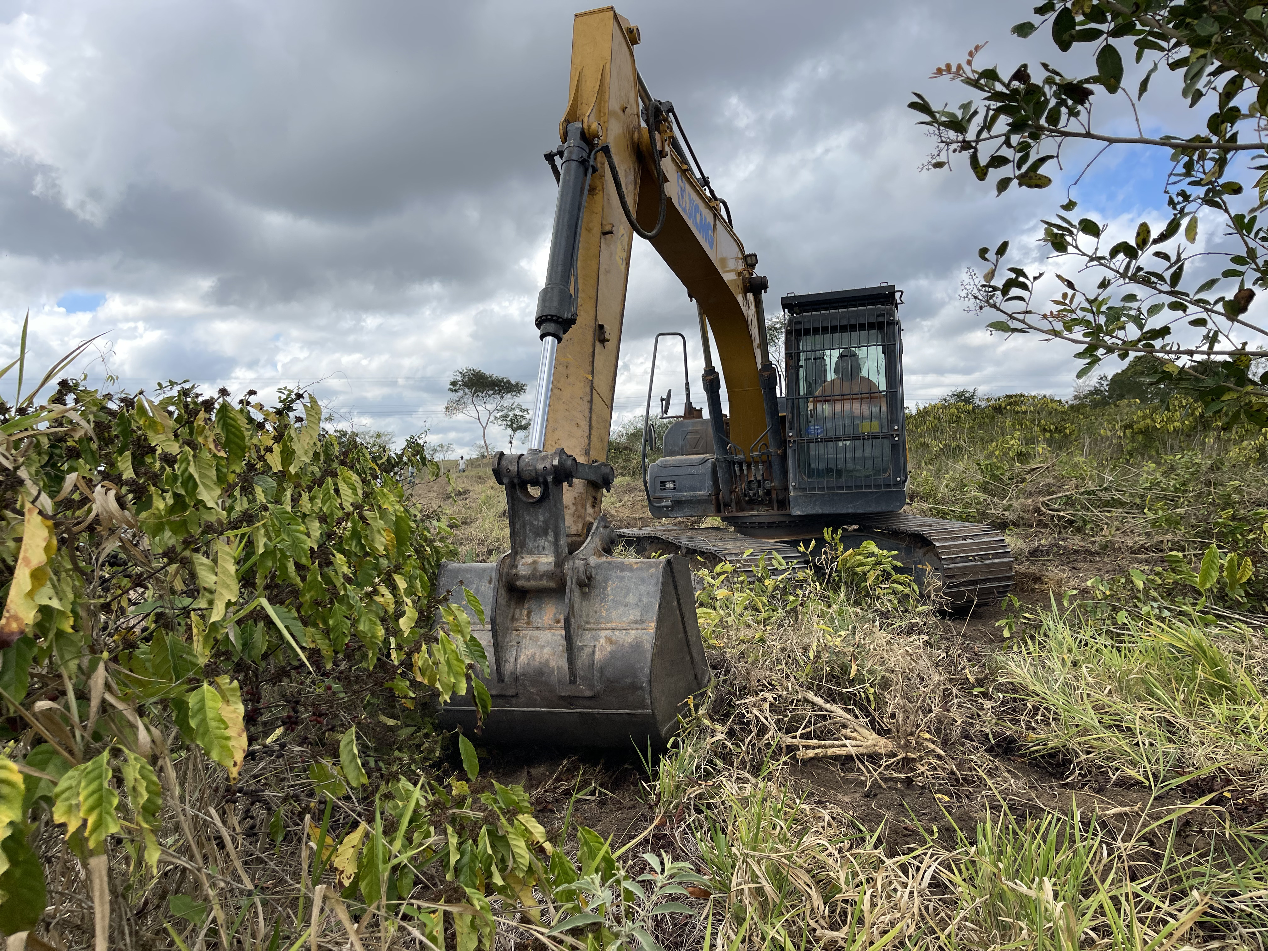 Prefeitura de Pinheiros inicia mutirão de serviços para agricultores familiares no interior