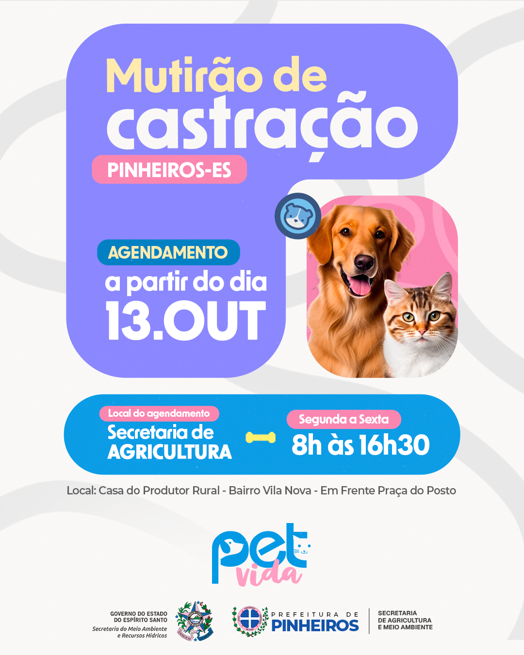 Prefeitura abre agendamento para mutirão de castração gratuita de cães e gatos