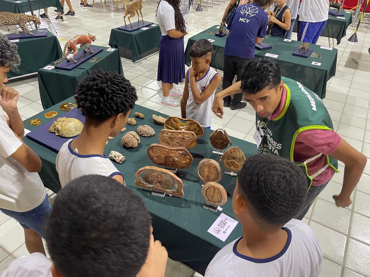 Alunos de Pinheiros desvendam a biodiversidade brasileira na Exposição 'Moradores da Floresta', em São Mateus
