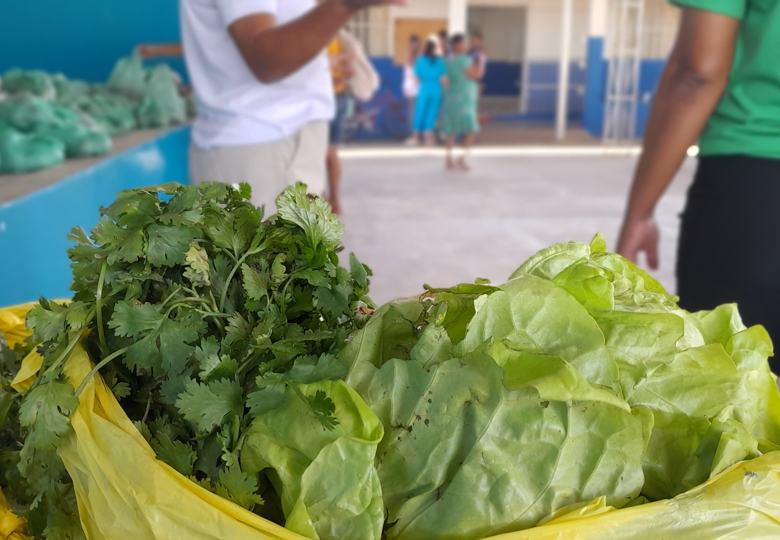 Pinheiros inaugura entrega de cestas verdes do ano
