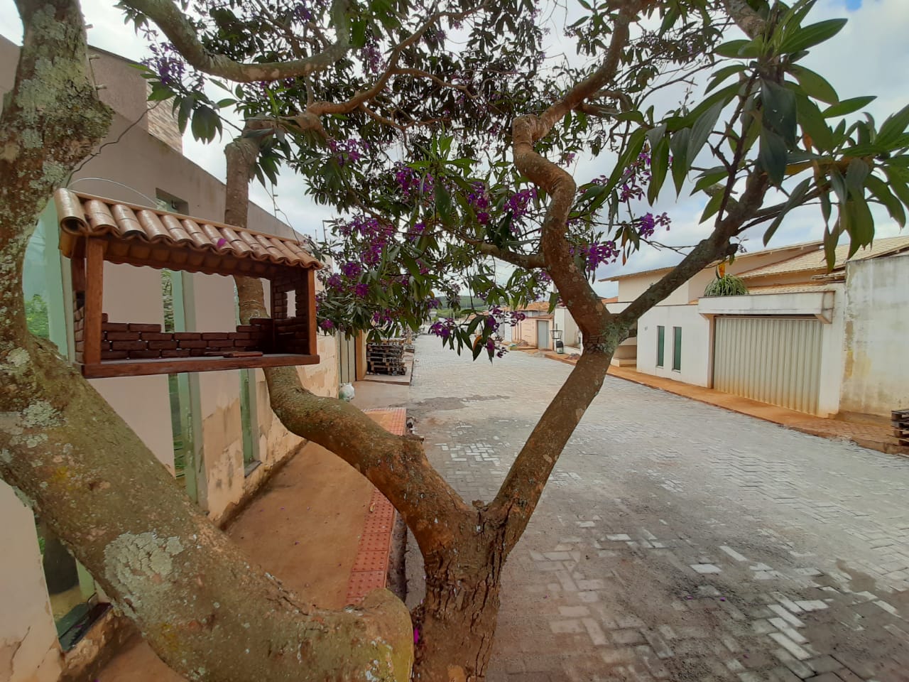 PREFEITURA DE PINHEIROS DÁ SEQUÊNCIA AO CALÇAMENTO DO NOVA CANAÃ