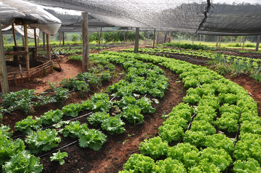Secretaria de Agricultura e Meio Ambiente
