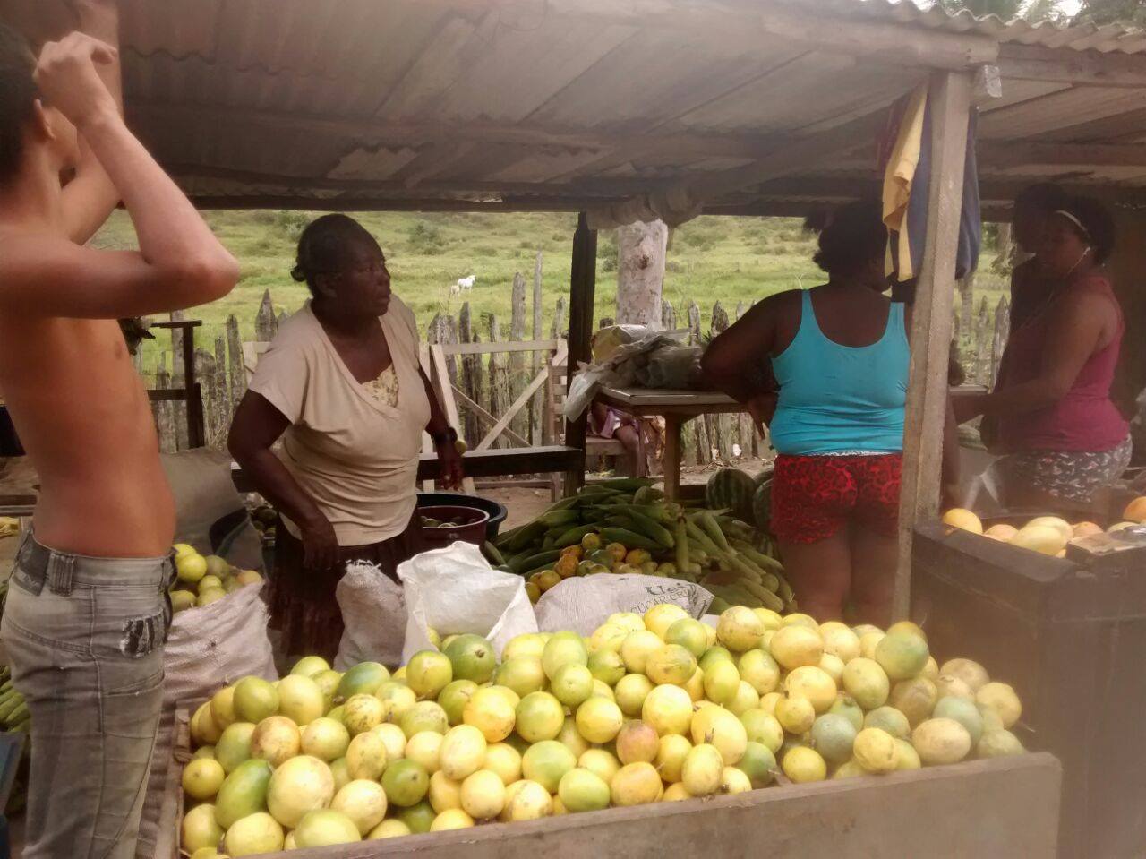 600 FAMÍLIAS DE PINHEIROS RECEBEM ALIMENTOS PELO PAA E TEM GARANTINDO O ACESSO A ALIMENTAÇÃO, O PROGRAMA CONTEMPLA AINDA 120 AGRICULTORES.
