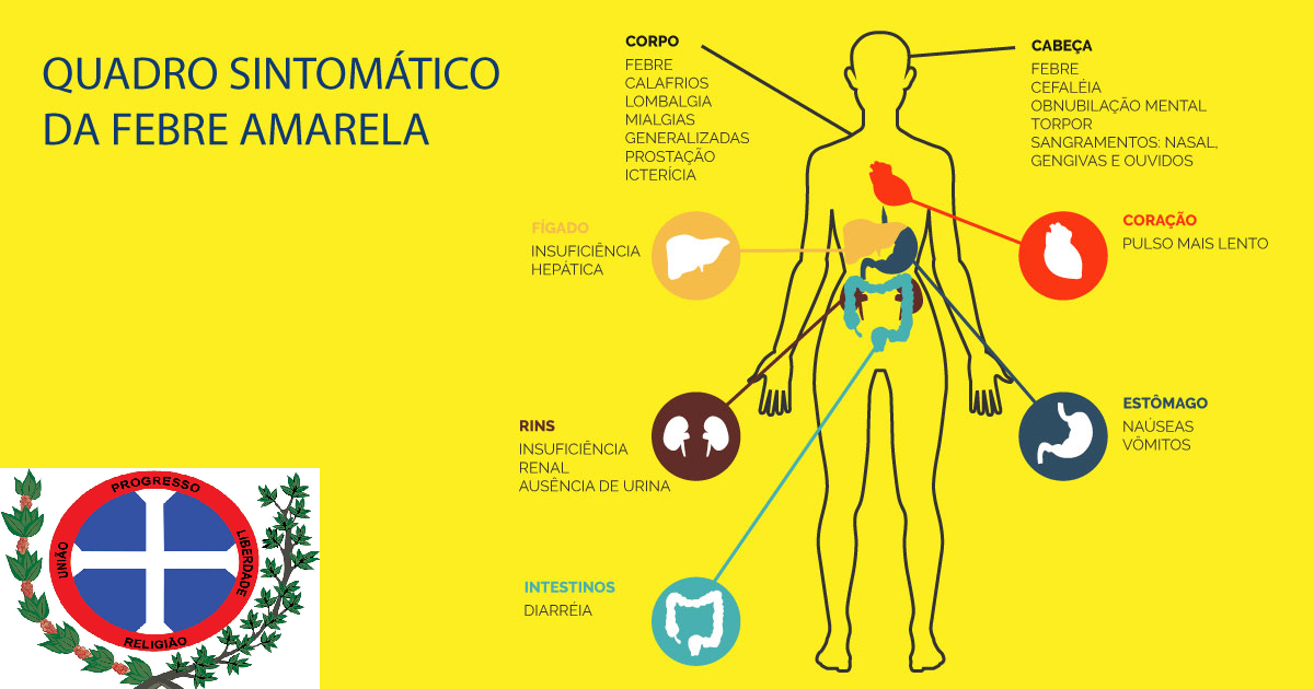 Sintomas da Febre Amarela!