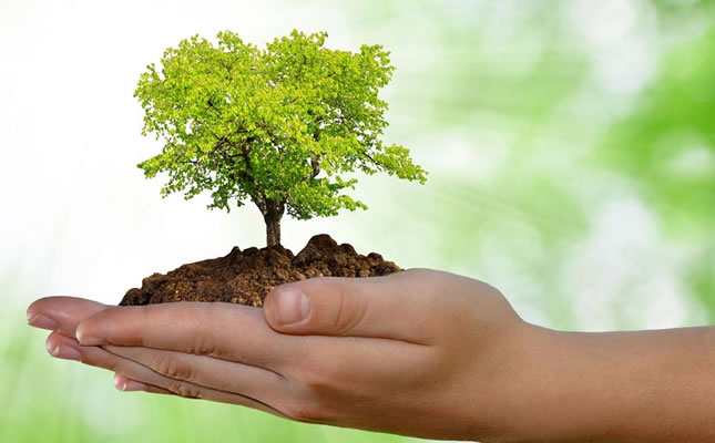 Prefeitura promove atividades em comemoração a Semana do Meio Ambiente