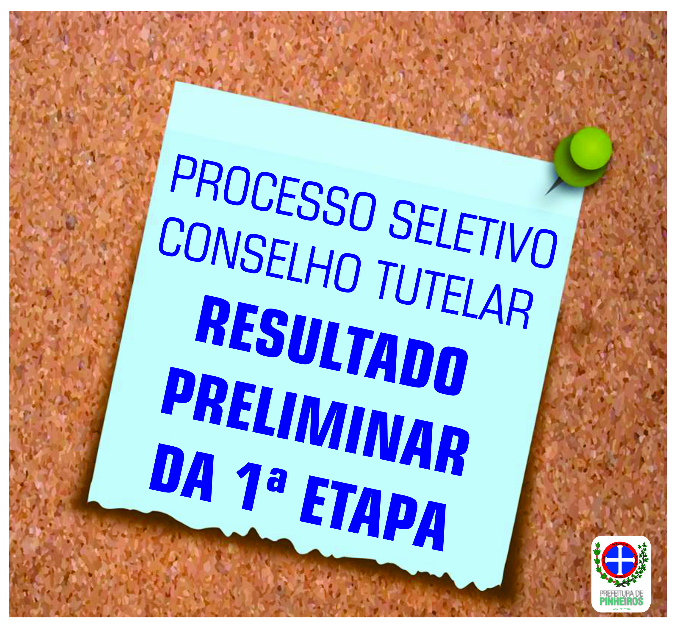 Comdeca de Pinheiros divulga resultado preliminar de inscrições para processo seletivo de conselheiros tutelares