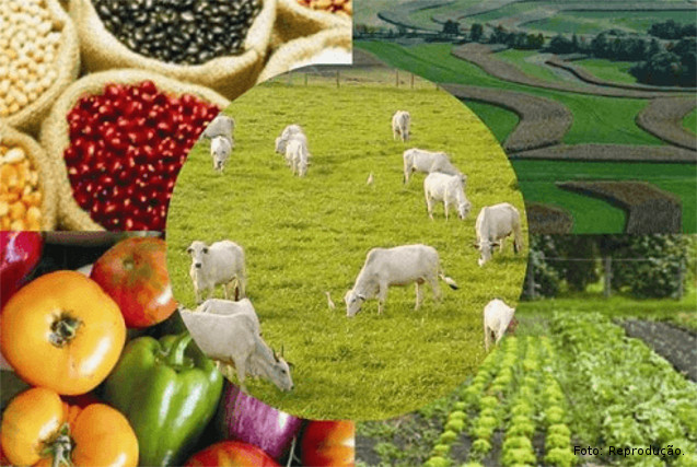 1ª Semana Agropecuária de Pinheiros e Região terá programação extensa e diversificada