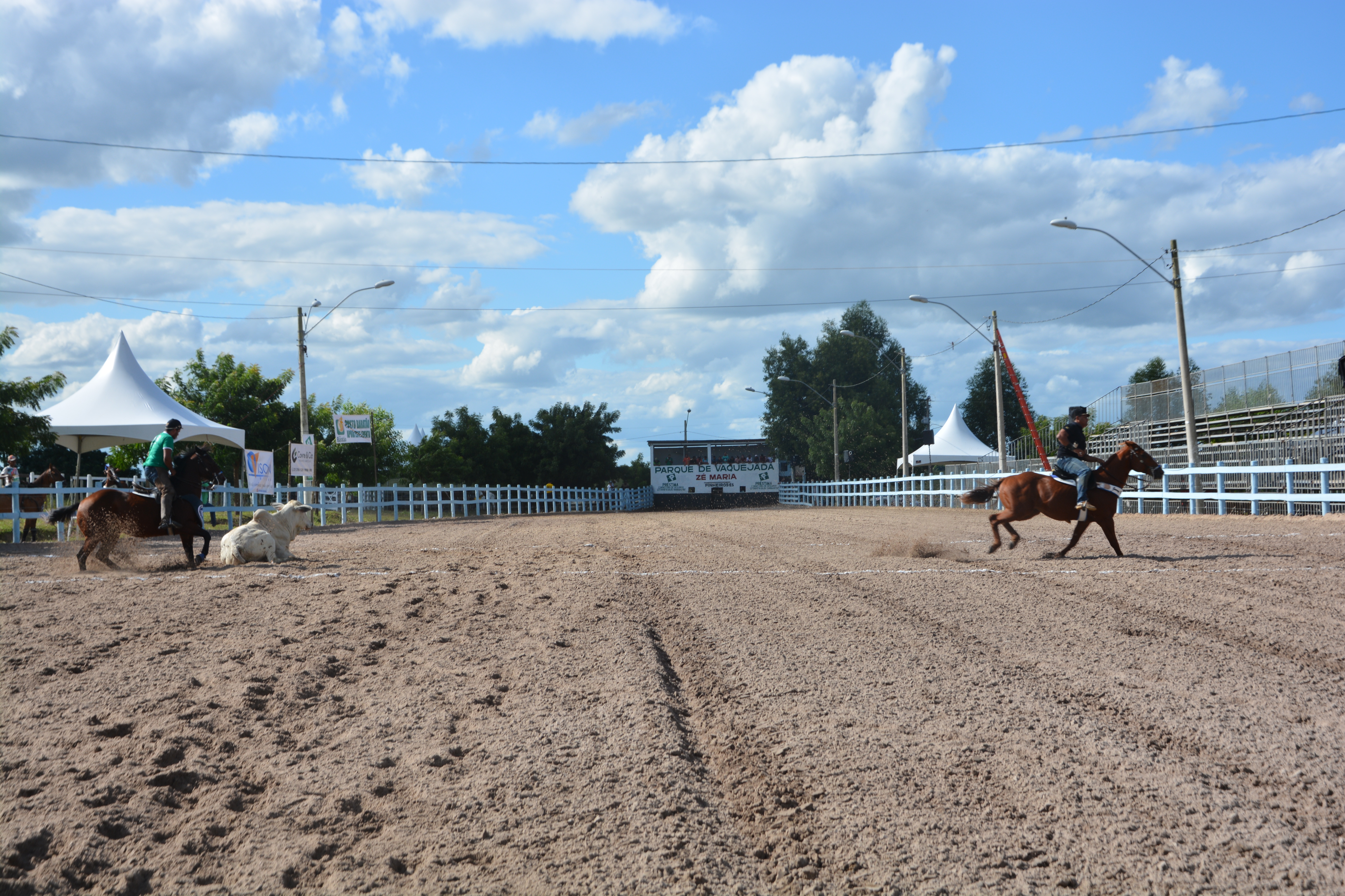 DOENÇA EQUINA CAUSA ADIAMENTO DA 29ª VAQUEJADA DE PINHEIROS